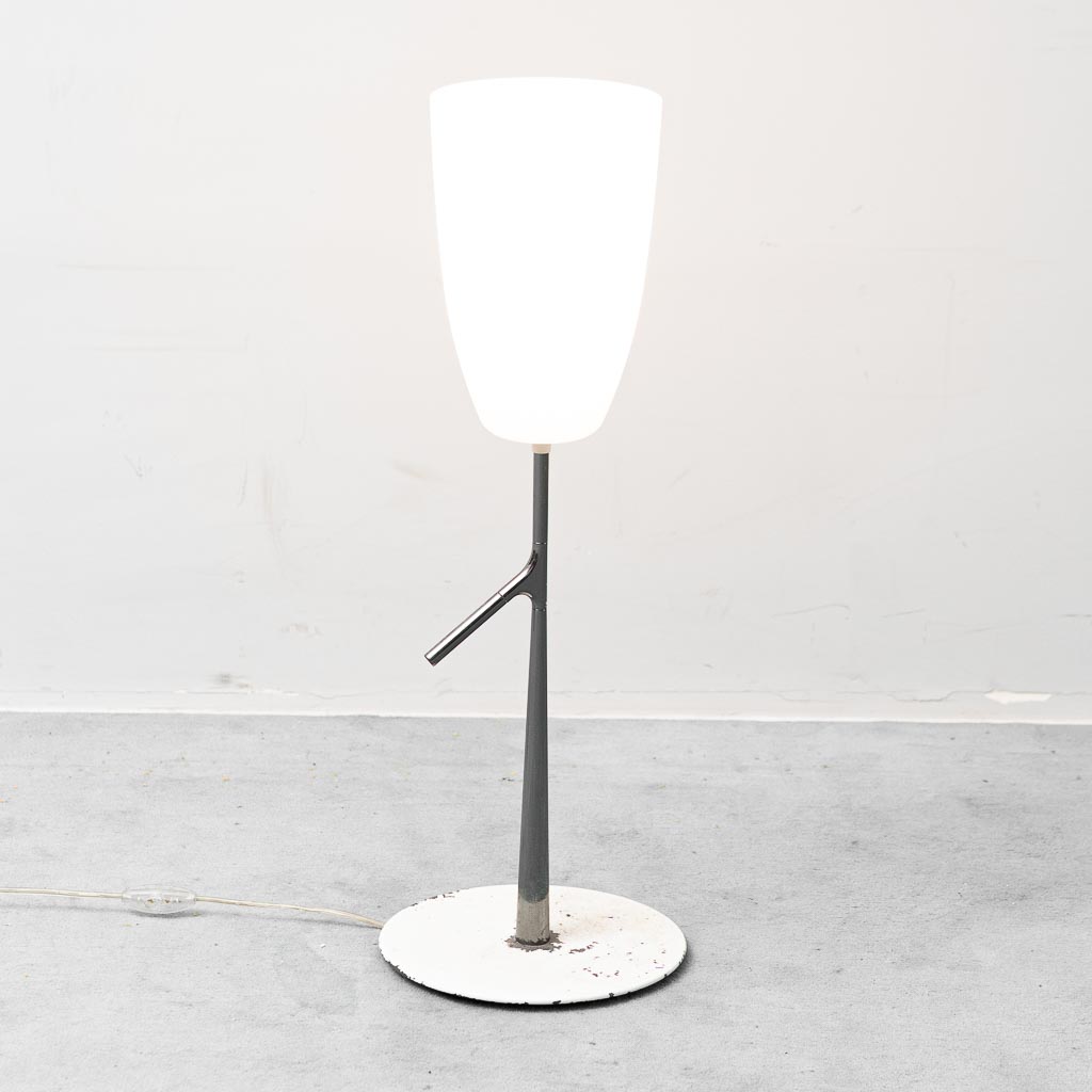 Lampada da terra Birdie Grande Foscarini – Design contemporaneo Made in Italy